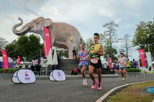 BIB: 
                            <button type="button" onclick="openModal(26528763)" class="btn btn-primary btn-sm float-right btn-popup" data-toggle="modal" data-target=".modal-high-quality">
                        <i class="fas fa-shopping-cart"></i> Add to Cart
                    </button>
                                            <button type="button" onclick="isThisMe(26528763, true)" class="btn btn-success btn-sm float-right btn-popup btn-isme hidden" data-toggle="tooltip" data-placement="bottom" title="นี่คือรูปของคุณใช่ไหม คลิกที่นี่เพื่อเอาเข้าอัลบั้ม">
                        <i class="fas fa-plus"></i> Add to album
                    </button>
                    <button type="button" onclick="isThisMe(26528763, false)" class="btn btn-warning btn-sm float-right btn-popup btn-isnotme hidden">
                        <i class="fas fa-ban"></i> Remove from album
                    </button>